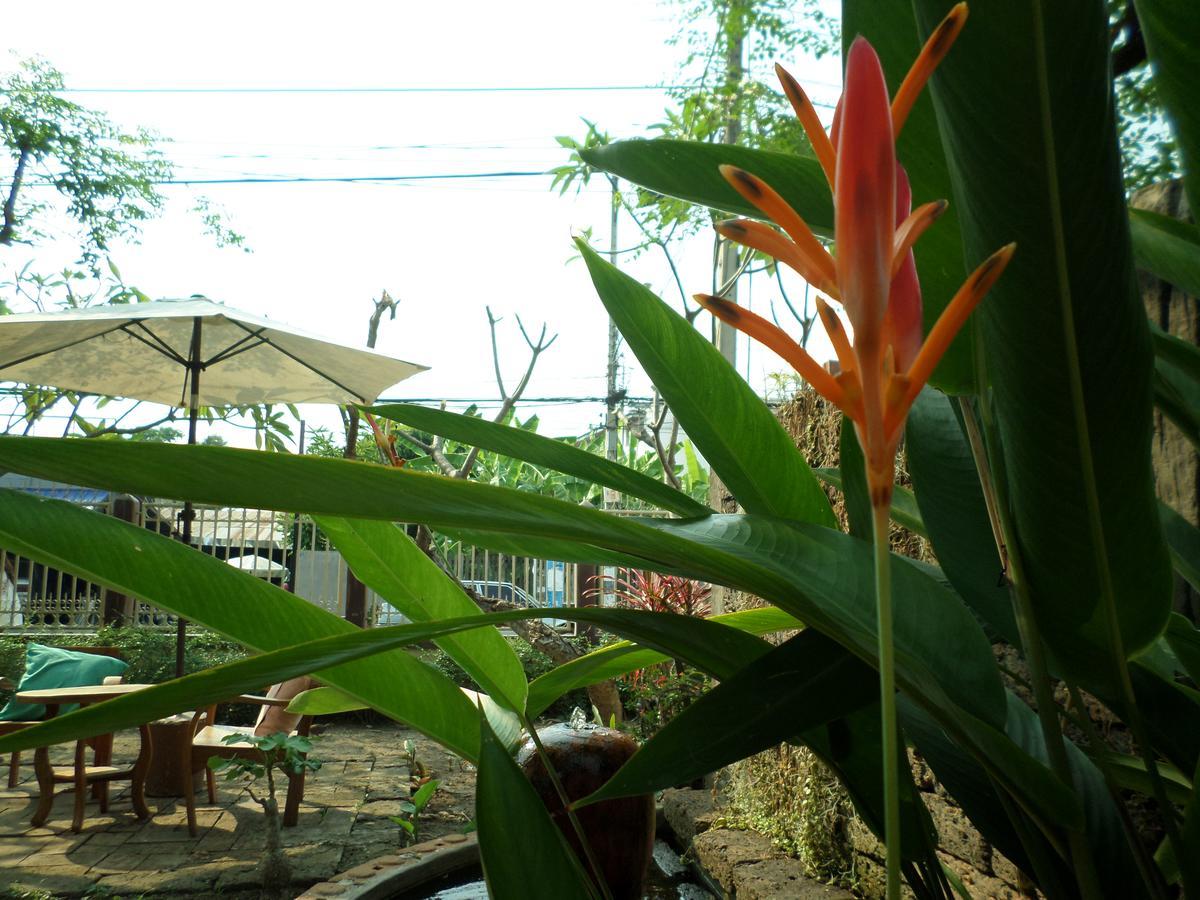 Baanwealaa Guesthouse (Adults Only) 清邁 外观 照片